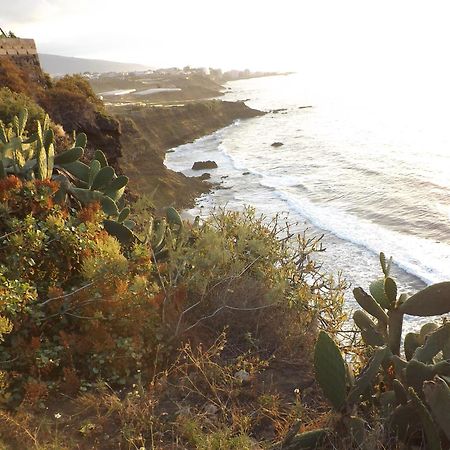 Banana Paradise La Orotava Εξωτερικό φωτογραφία