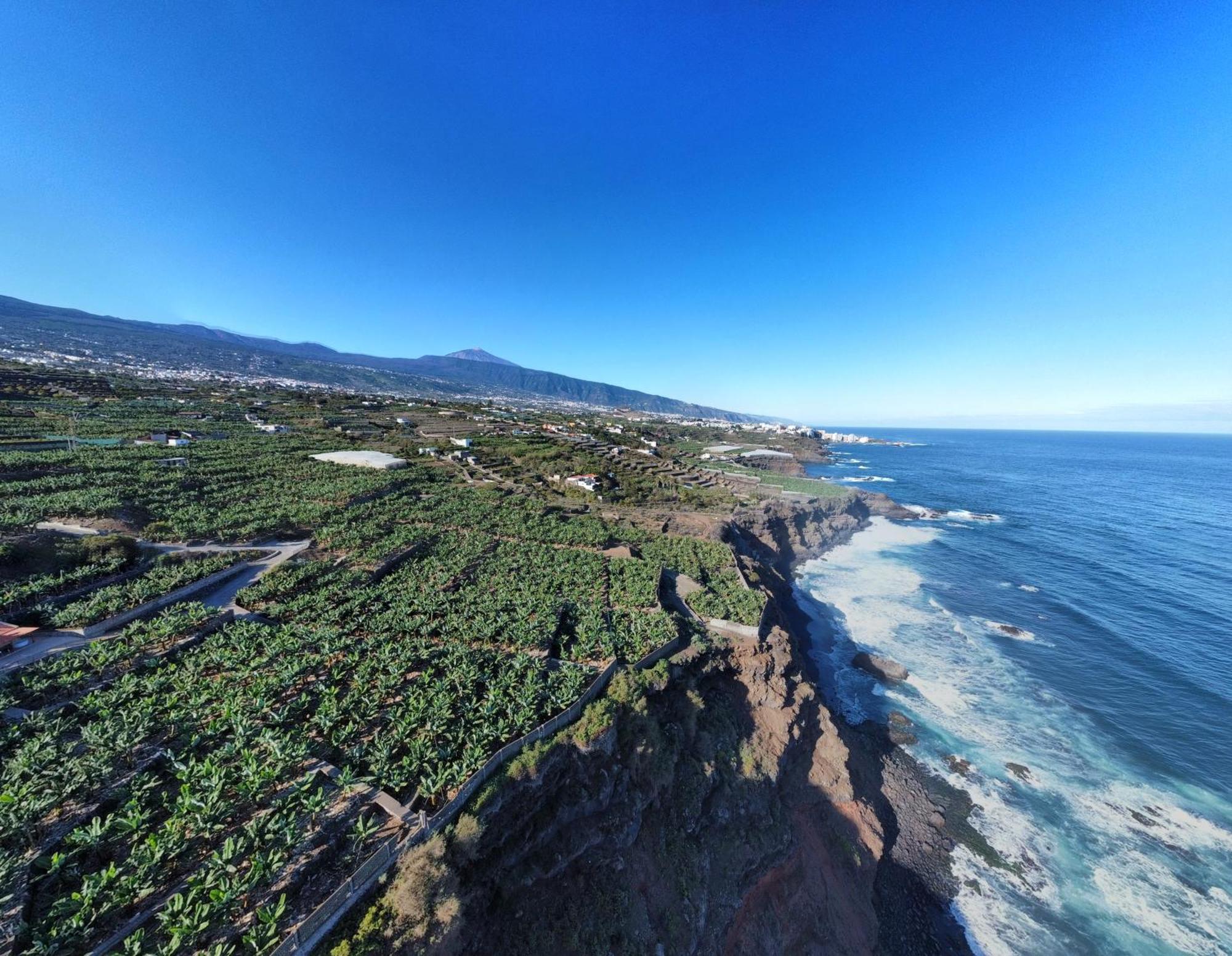 Banana Paradise La Orotava Εξωτερικό φωτογραφία